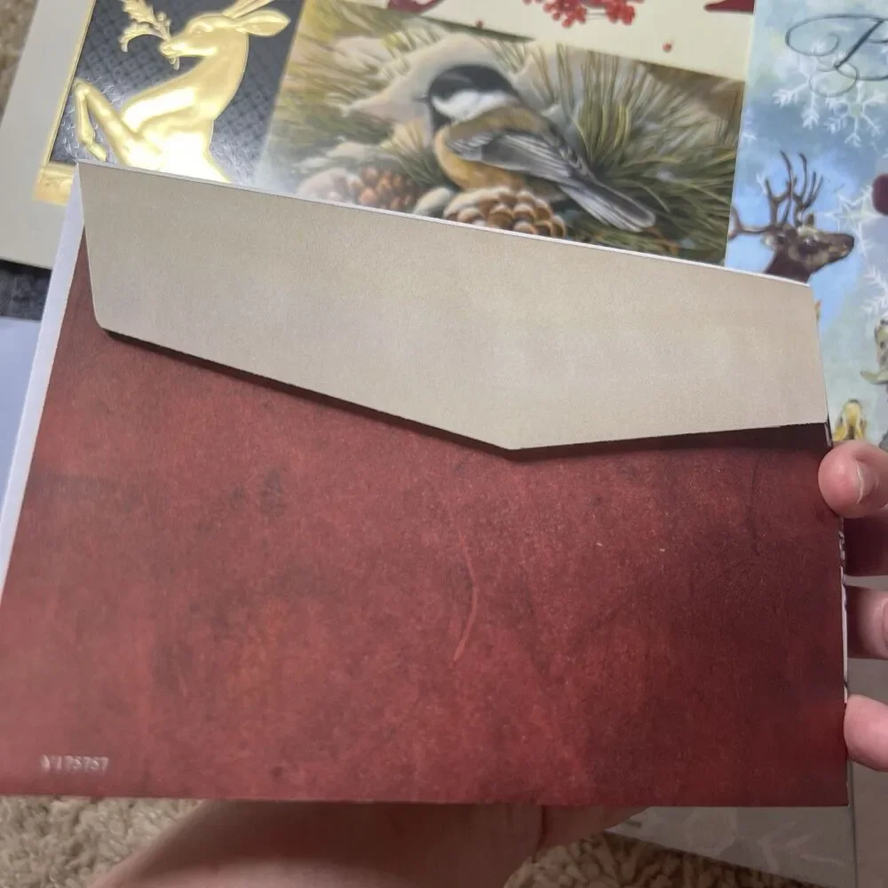 Lot 12 Assorted Greeting Cards with Envelopes Christmas Sympathy Floral NEW